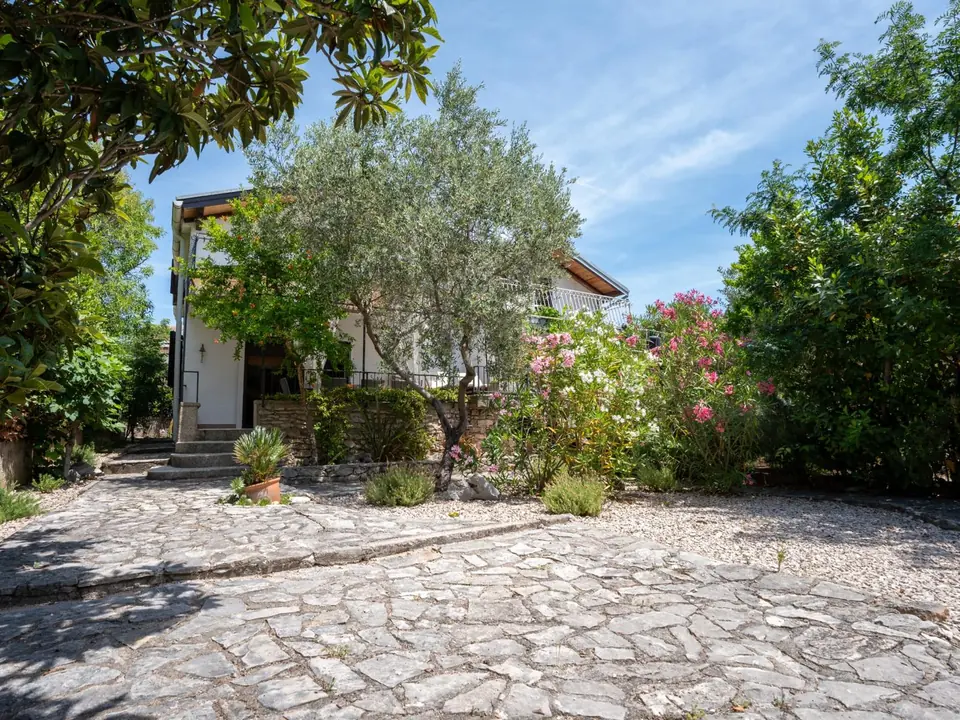 Holiday Home Dolphin seen from its garden: a white house behind an olive tree and pink oleander, with a stone path leading to the terrace